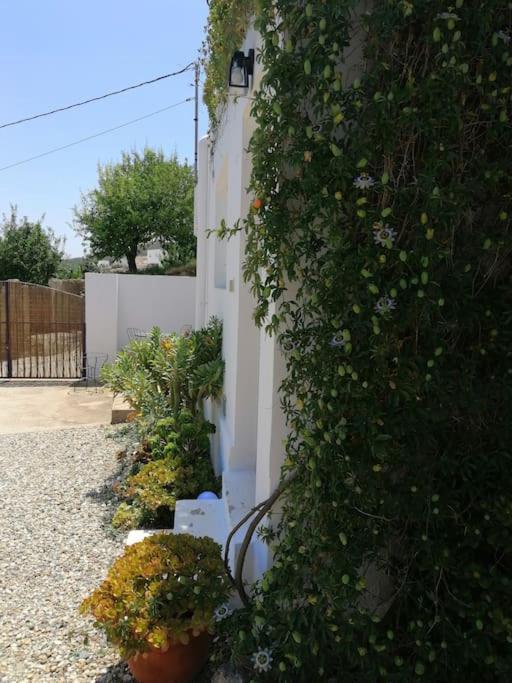 Casa Jardin. Vivienda Rural En Zona Tranquila. Villa Lucainena de las Torres Eksteriør bilde