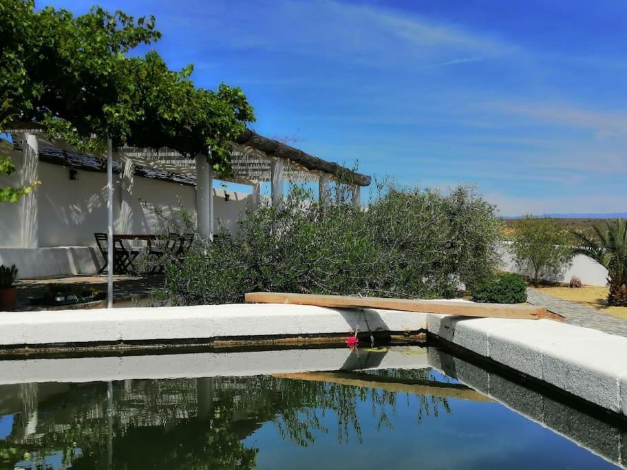 Casa Jardin. Vivienda Rural En Zona Tranquila. Villa Lucainena de las Torres Eksteriør bilde