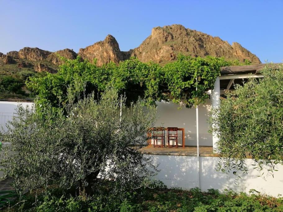 Casa Jardin. Vivienda Rural En Zona Tranquila. Villa Lucainena de las Torres Eksteriør bilde