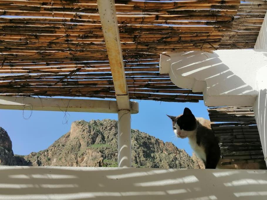 Casa Jardin. Vivienda Rural En Zona Tranquila. Villa Lucainena de las Torres Eksteriør bilde