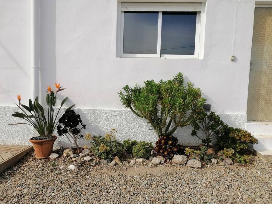 Casa Jardin. Vivienda Rural En Zona Tranquila. Villa Lucainena de las Torres Eksteriør bilde